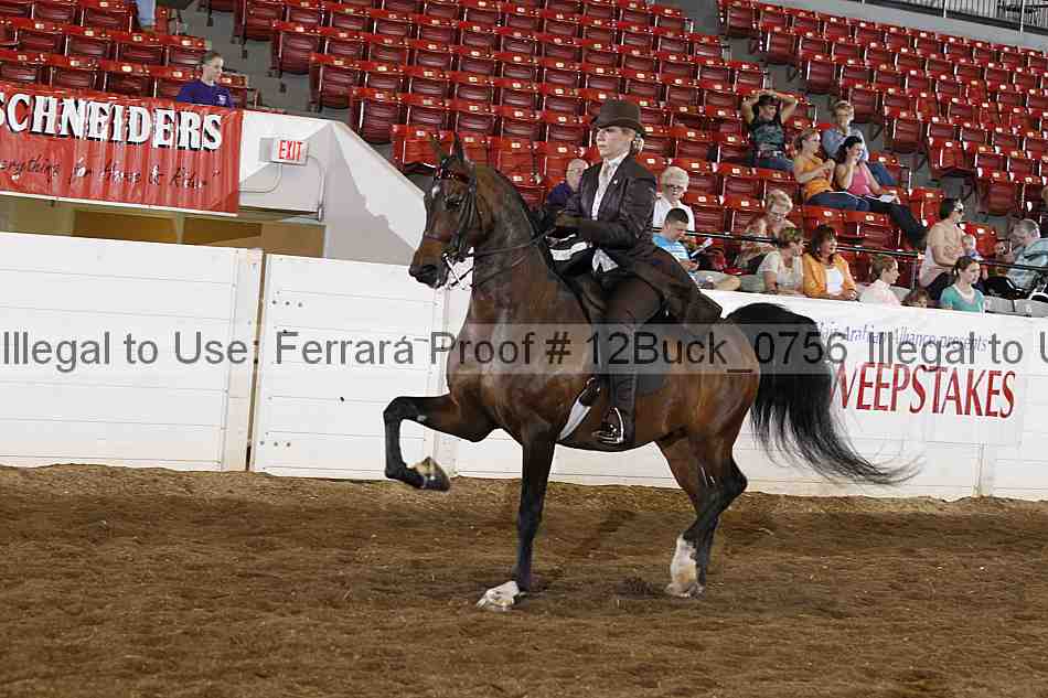 Proof 12buck_0756