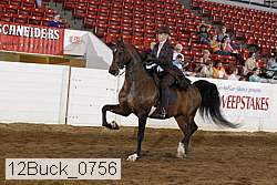 12buck_0756 proof