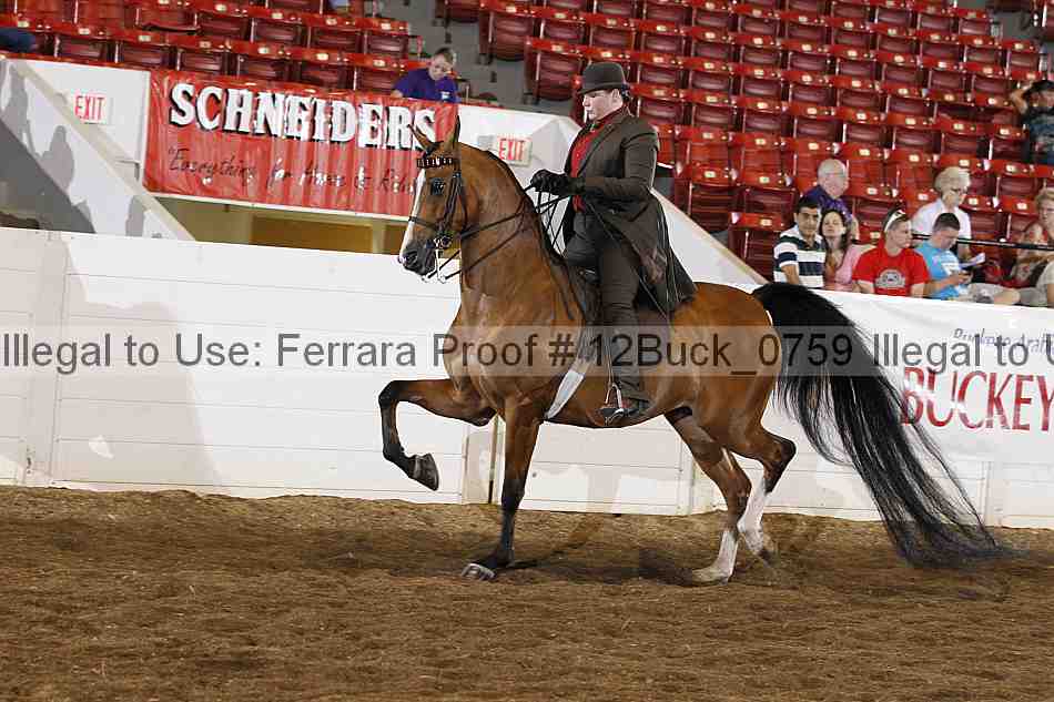 Proof 12buck_0759