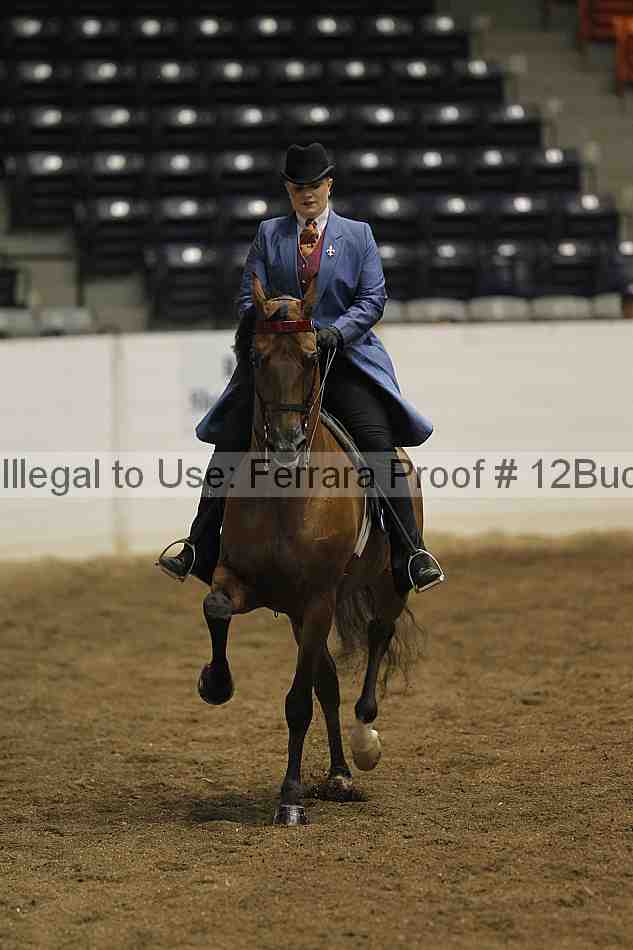 Proof 12buck_0760
