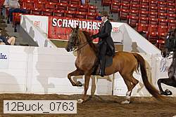 12buck_0763 proof