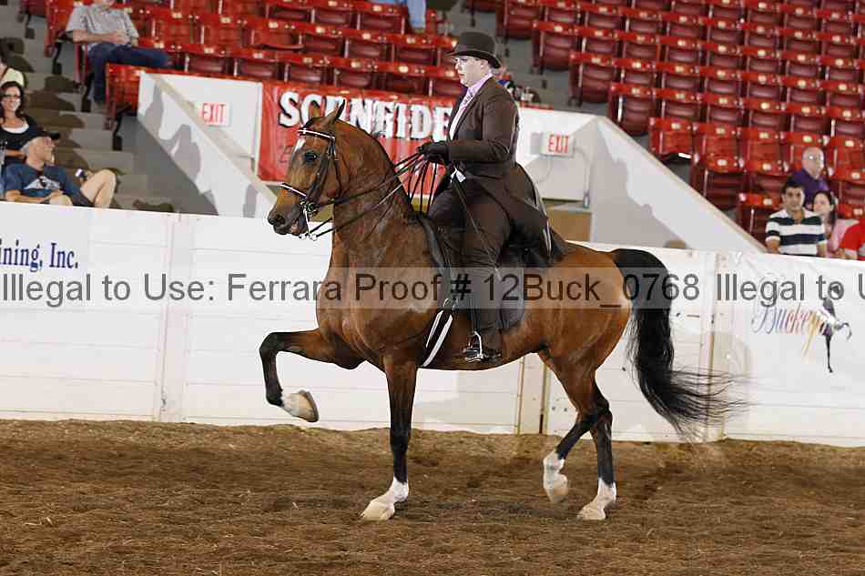 Proof 12buck_0768