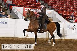 12buck_0768 proof