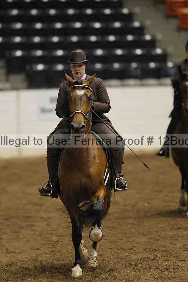 Proof 12buck_0769