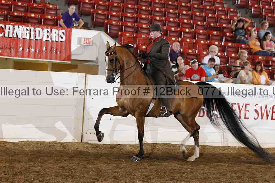 Proof 12buck_0771