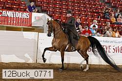 12buck_0771 proof