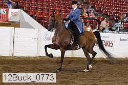 12buck_0773 proof