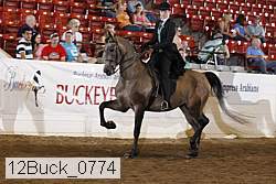 12buck_0774 proof