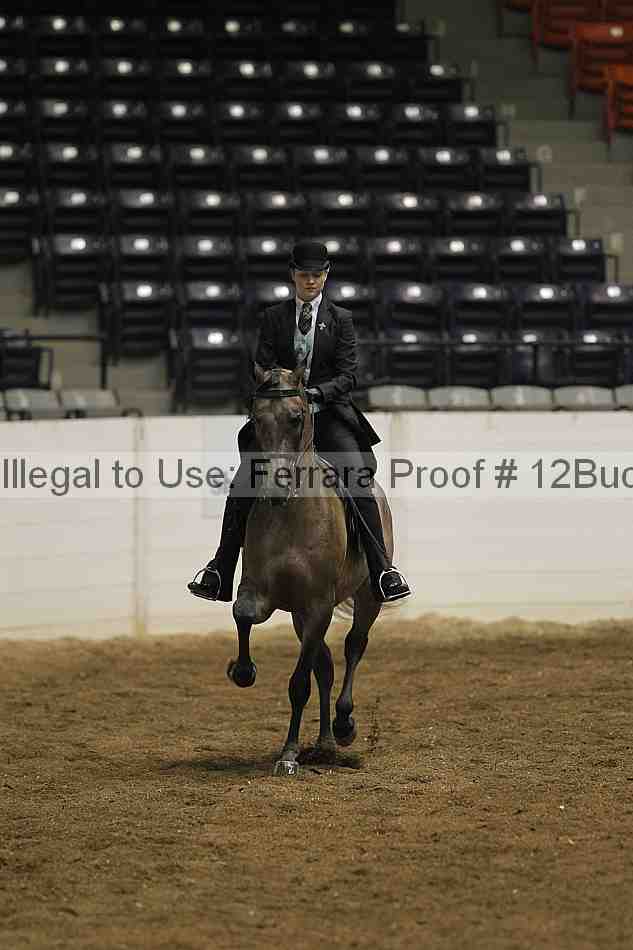 Proof 12buck_0775