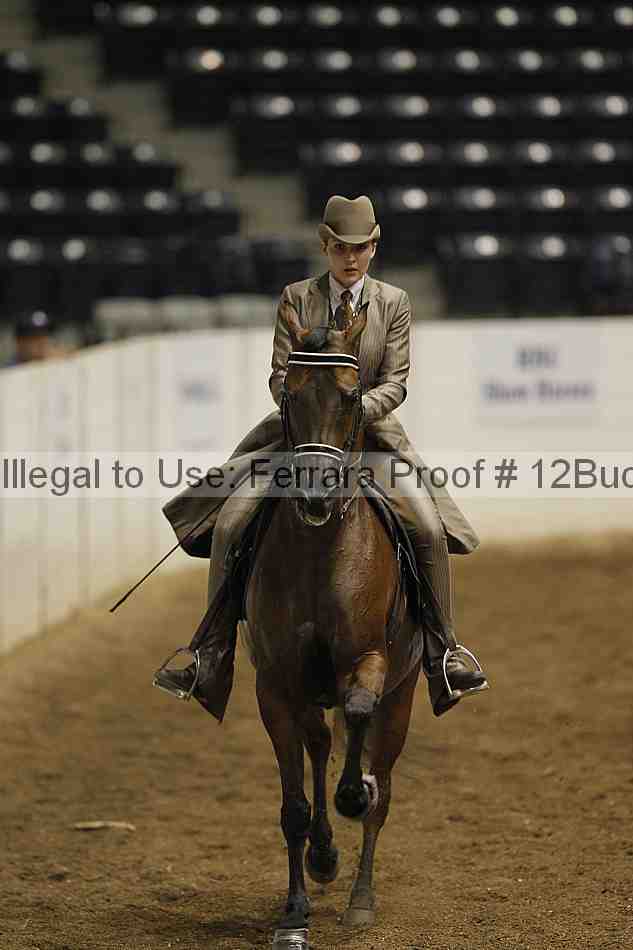 Proof 12buck_0777