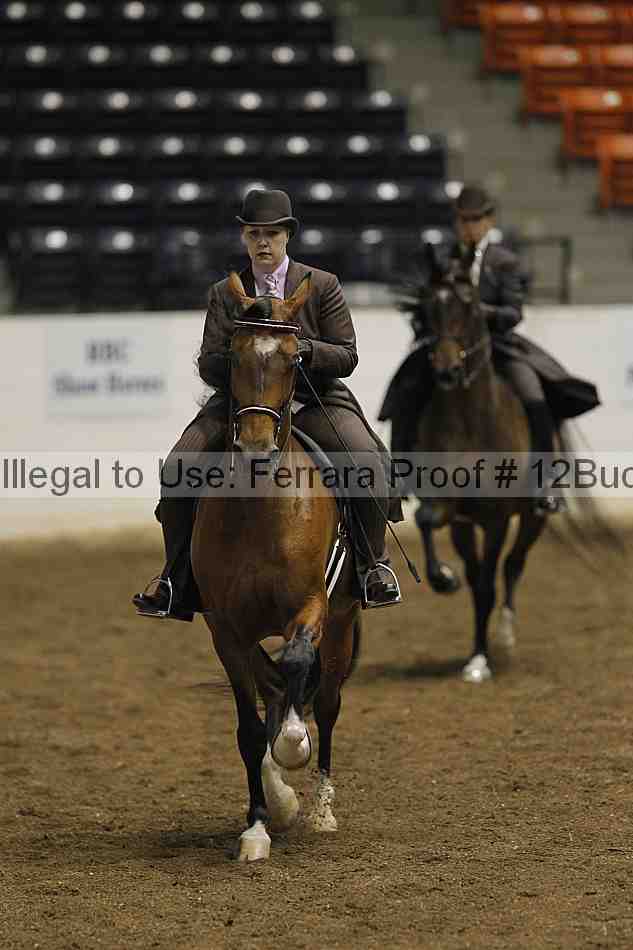 Proof 12buck_0778