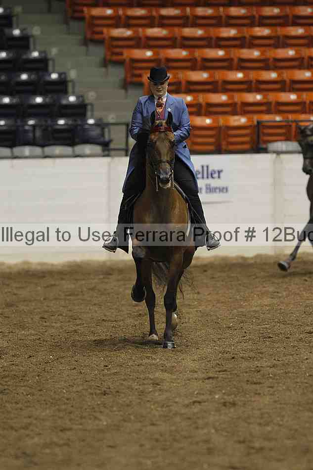Proof 12buck_0780