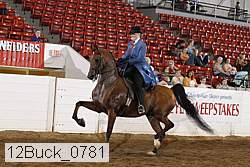 12buck_0781 proof