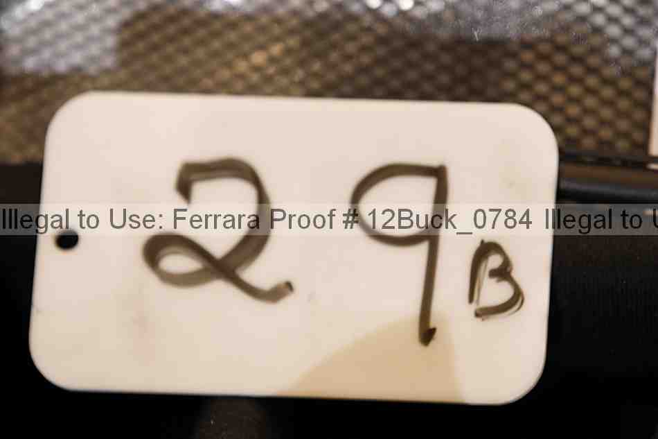 Proof 12buck_0784