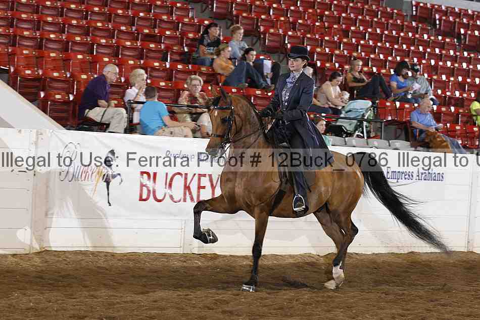 Proof 12buck_0786