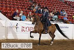 12buck_0786 proof