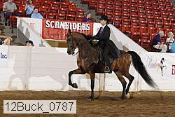 12buck_0787 proof