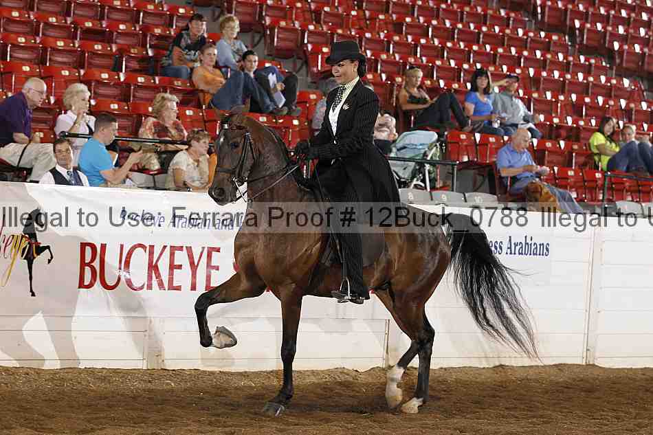 Proof 12buck_0788
