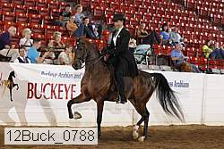 12buck_0788 proof