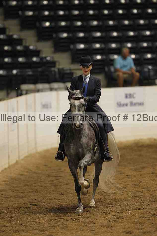 Proof 12buck_0790