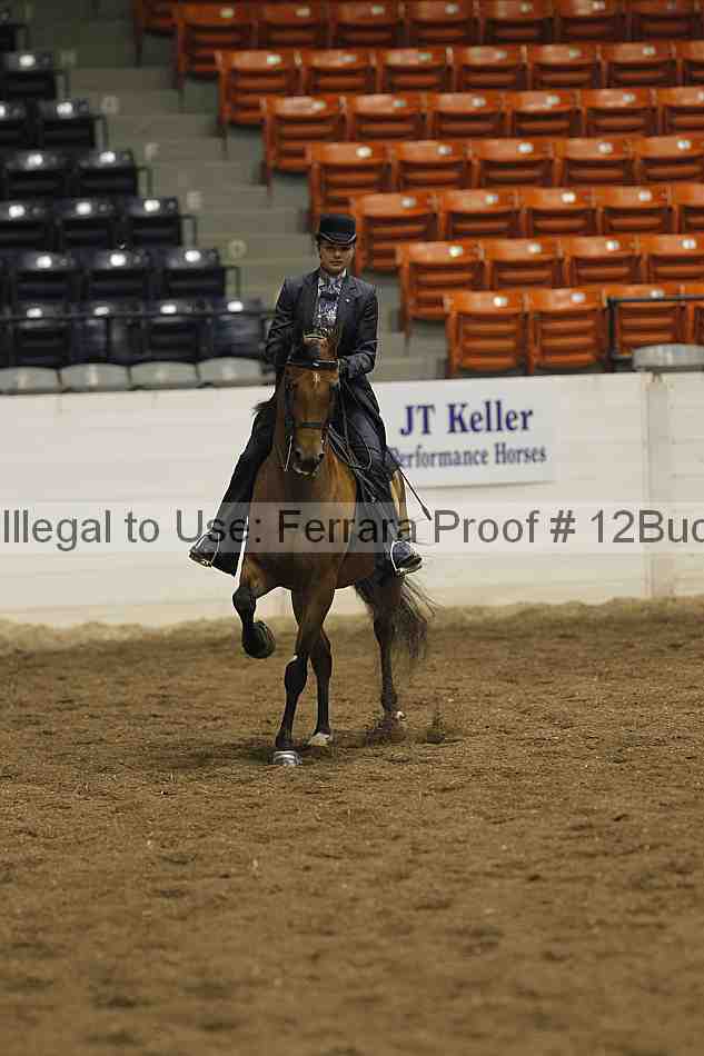Proof 12buck_0791