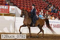 12buck_0792 proof