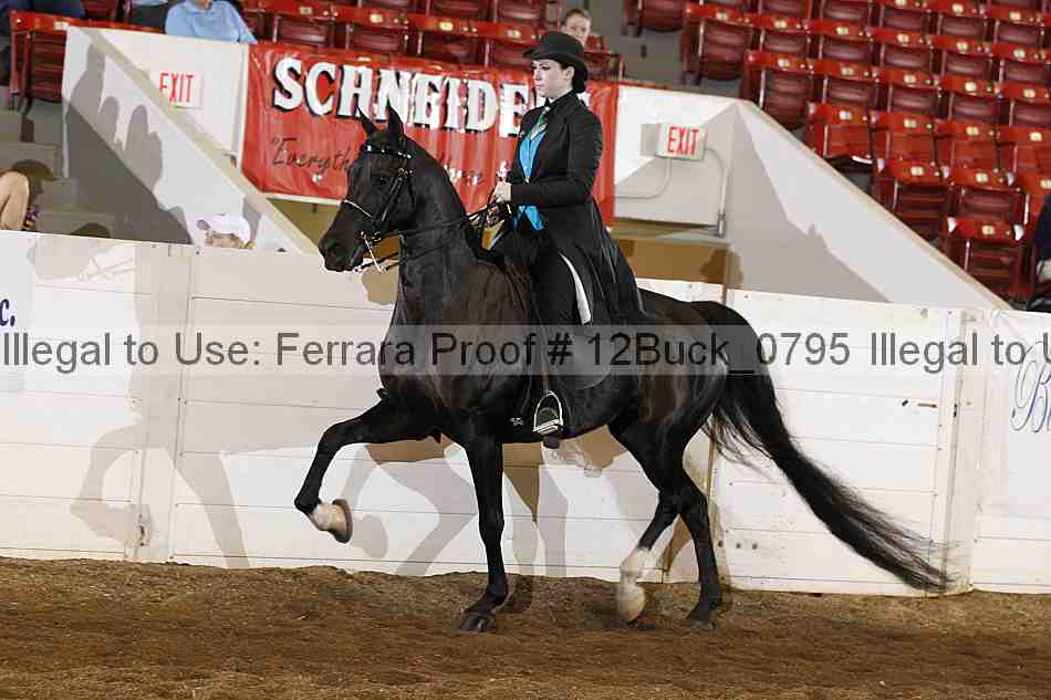 Proof 12buck_0795