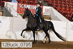 12buck_0795 proof
