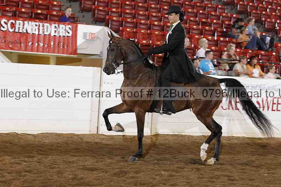 Proof 12buck_0796