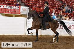 12buck_0796 proof