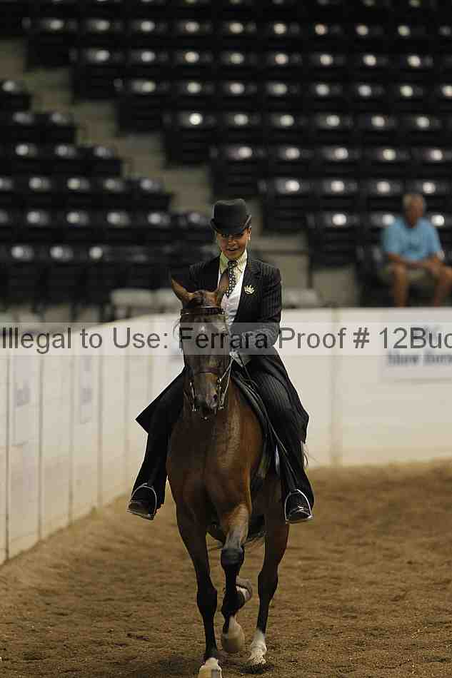 Proof 12buck_0797