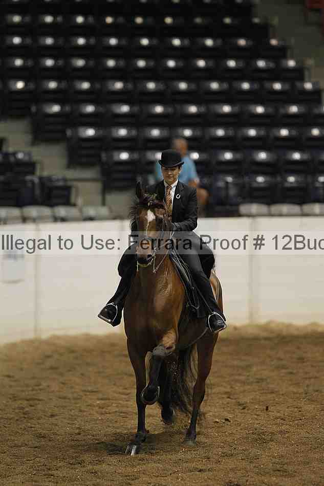 Proof 12buck_0799