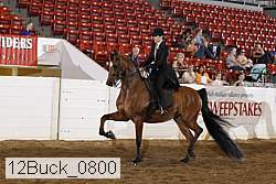 12buck_0800 proof
