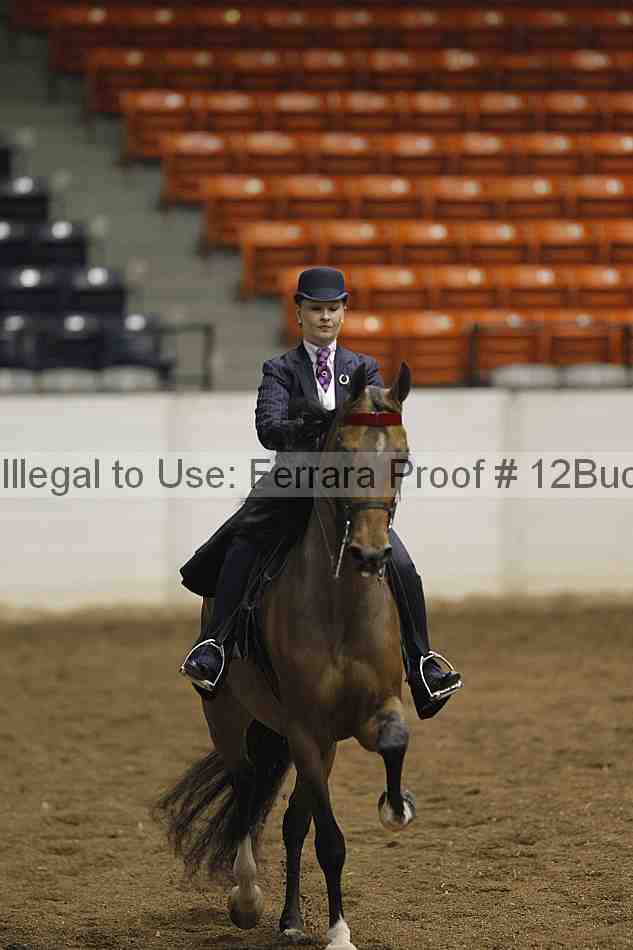 Proof 12buck_0801