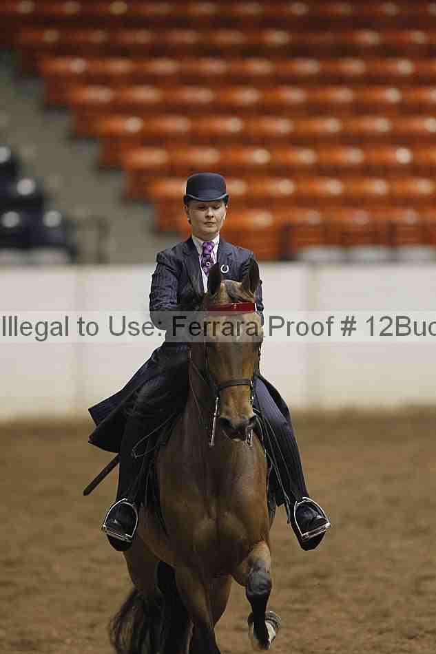 Proof 12buck_0802