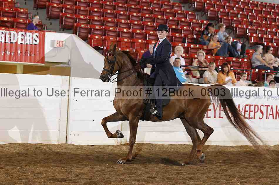 Proof 12buck_0803