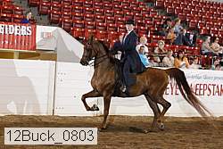 12buck_0803 proof