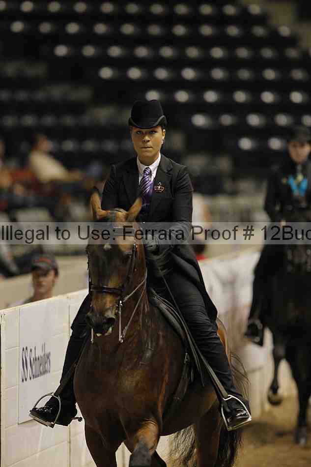 Proof 12buck_0806