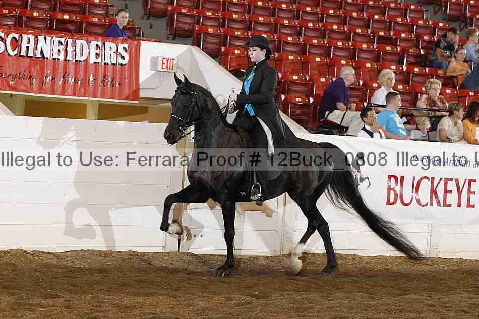 Proof 12buck_0808