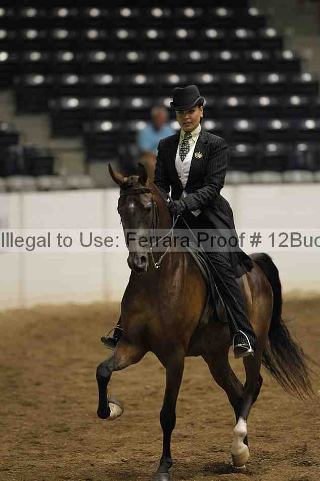 Proof 12buck_0809
