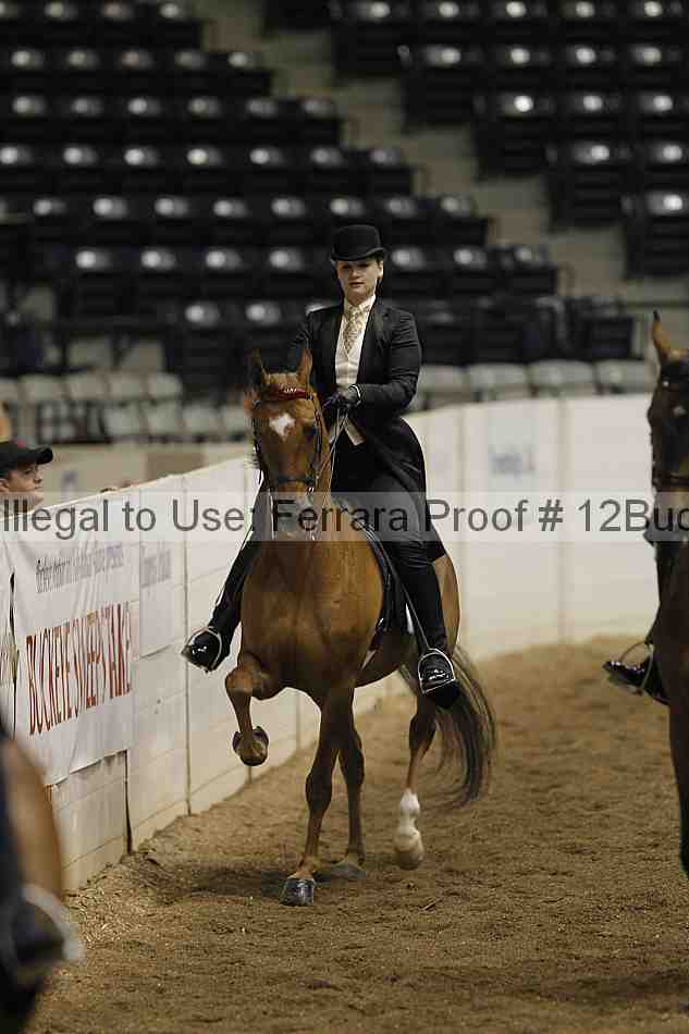 Proof 12buck_0813