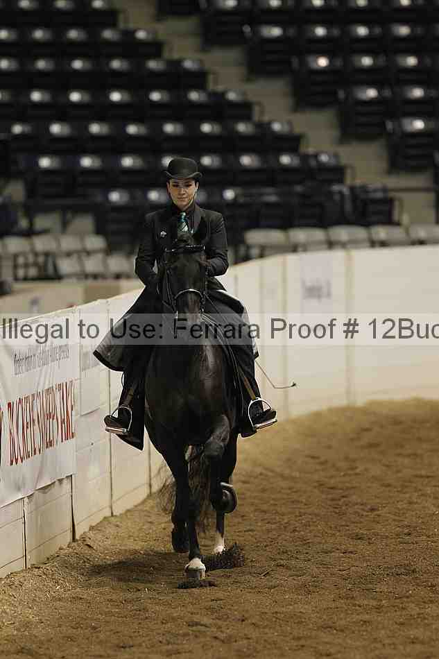 Proof 12buck_0814