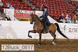 12buck_0817 proof