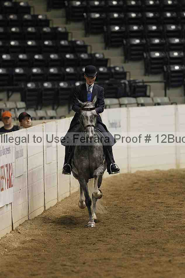 Proof 12buck_0819