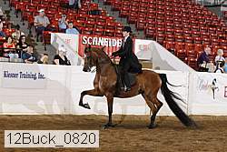 12buck_0820 proof