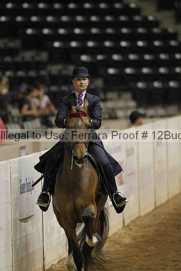 Proof 12buck_0826
