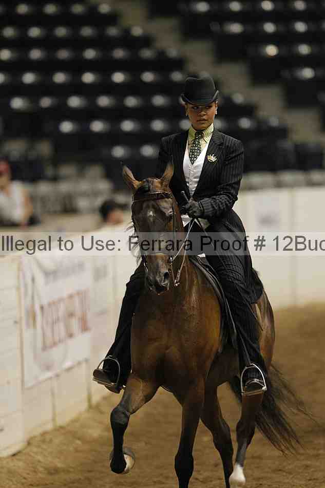 Proof 12buck_0827