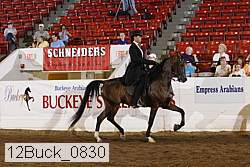12buck_0830 proof