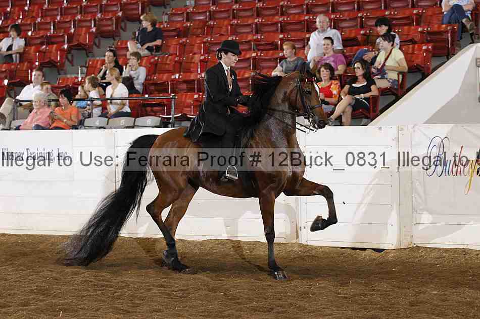 Proof 12buck_0831