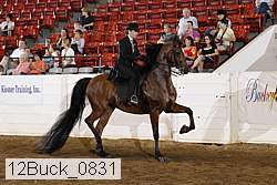 12buck_0831 proof